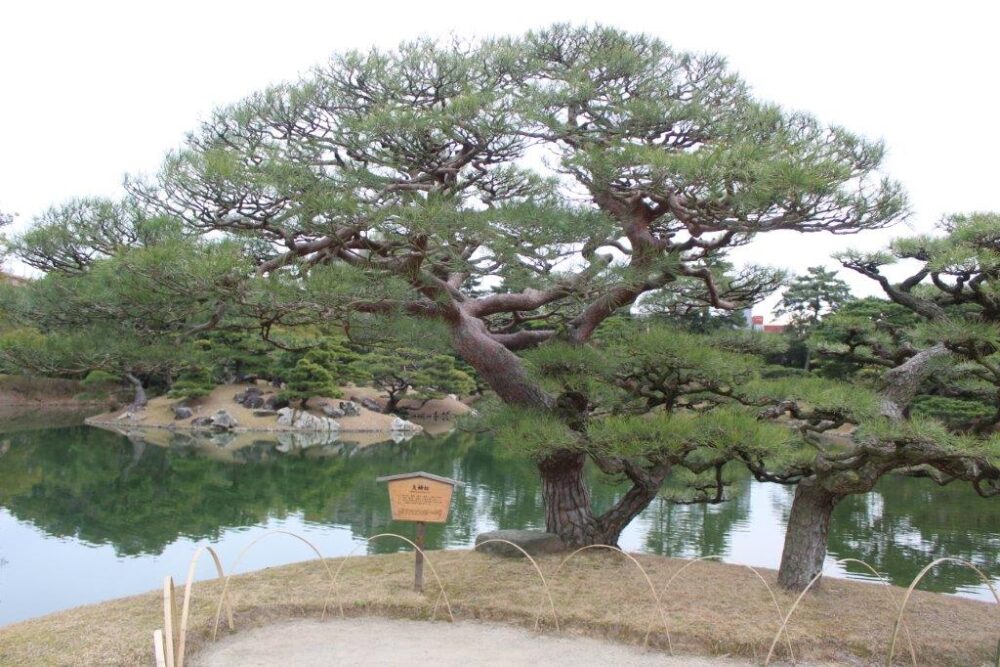 栗林公園