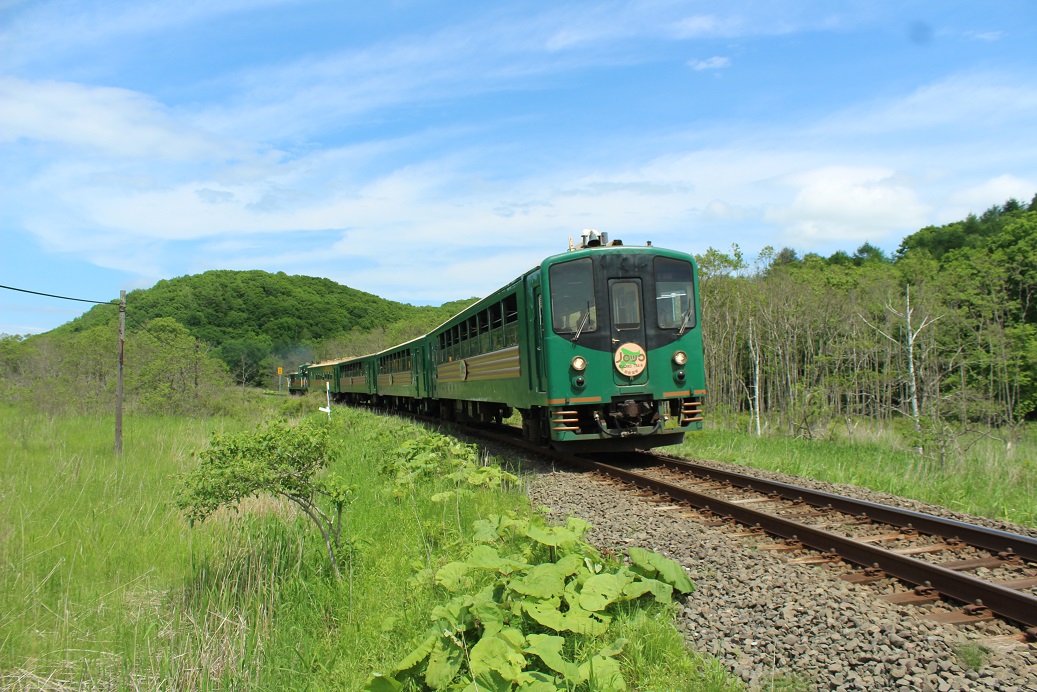 くしろ湿原ノロッコ号