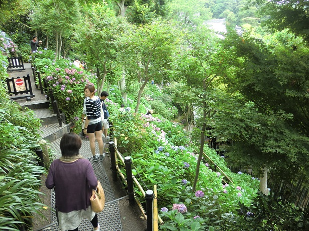 長谷寺