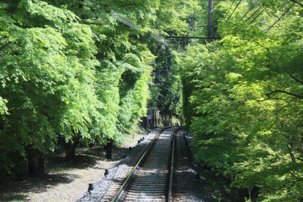 展望列車きらら紅葉トンネル