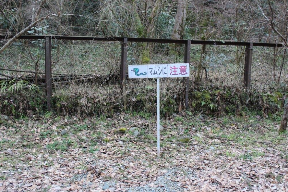 四国まんなか千年ものがたり乗車記