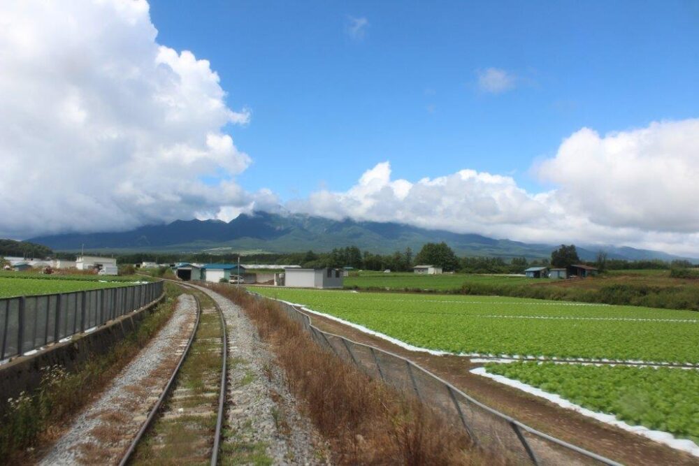 小海線車窓からの景色