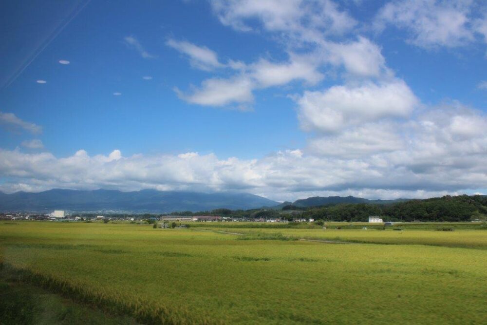 小海線車窓からの景色