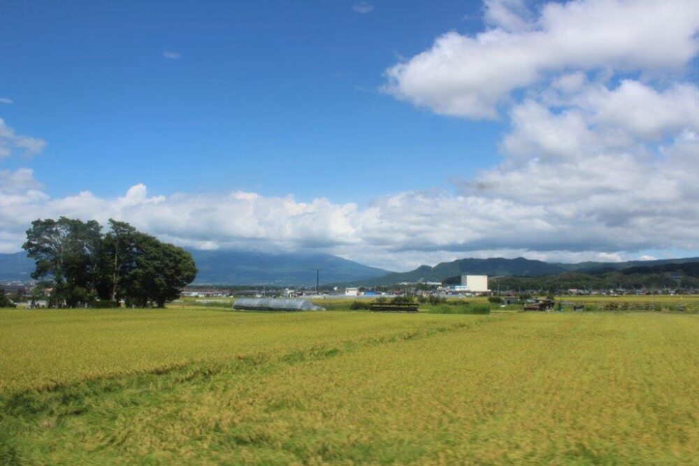 小海線車窓からの景色