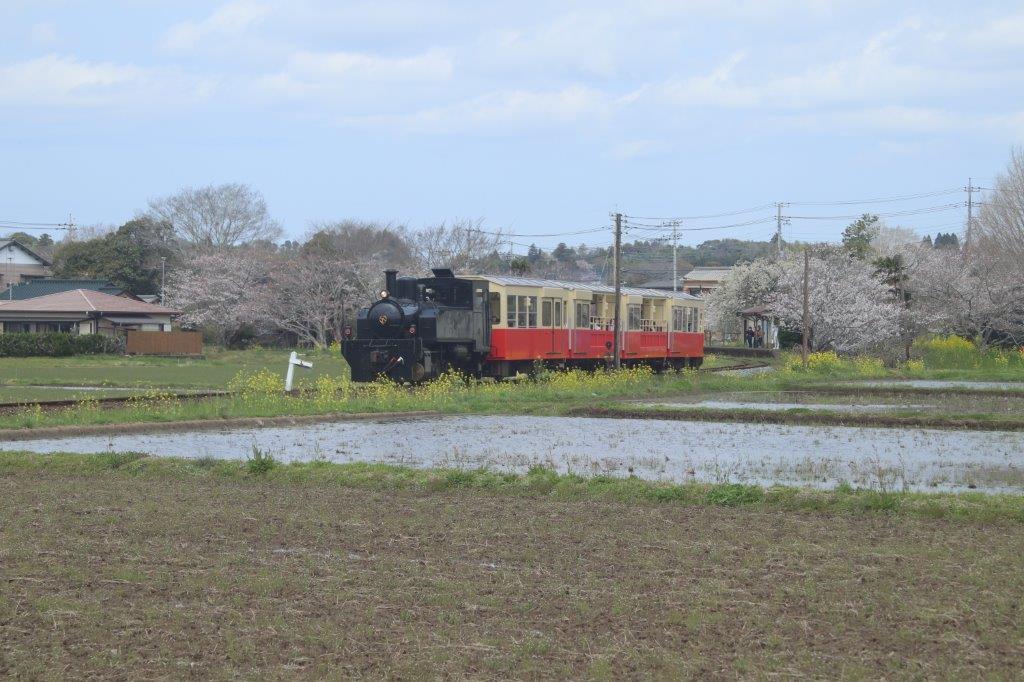 房総里山トロッコ号