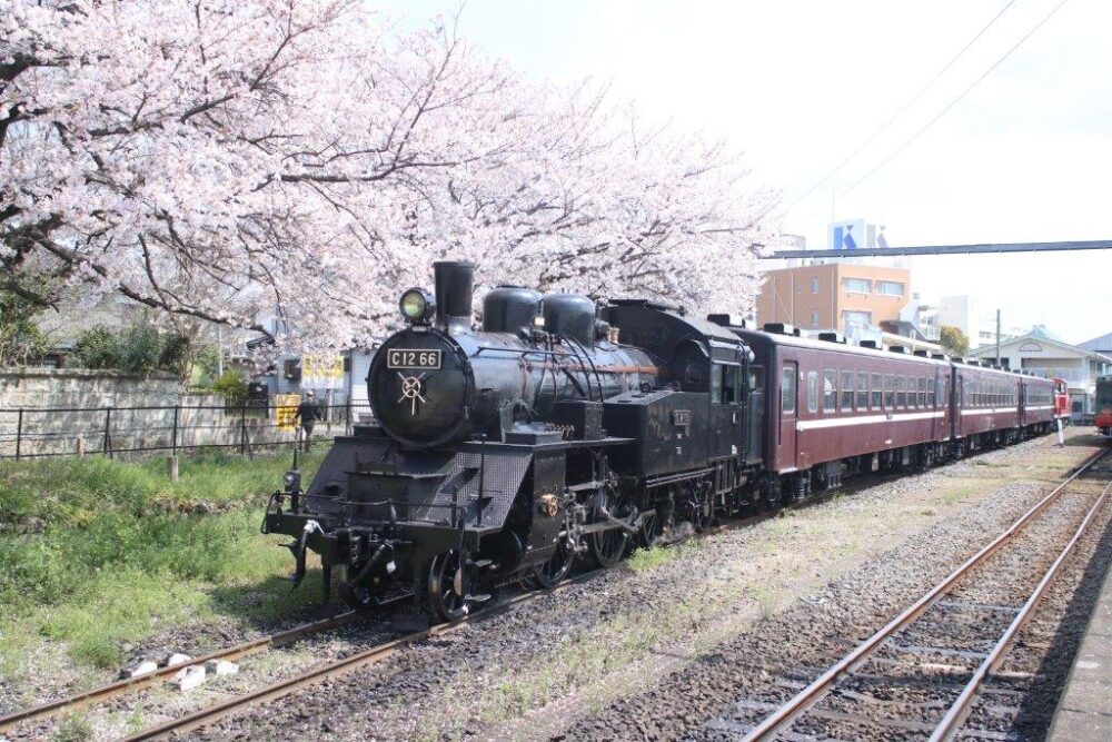 SLもおか