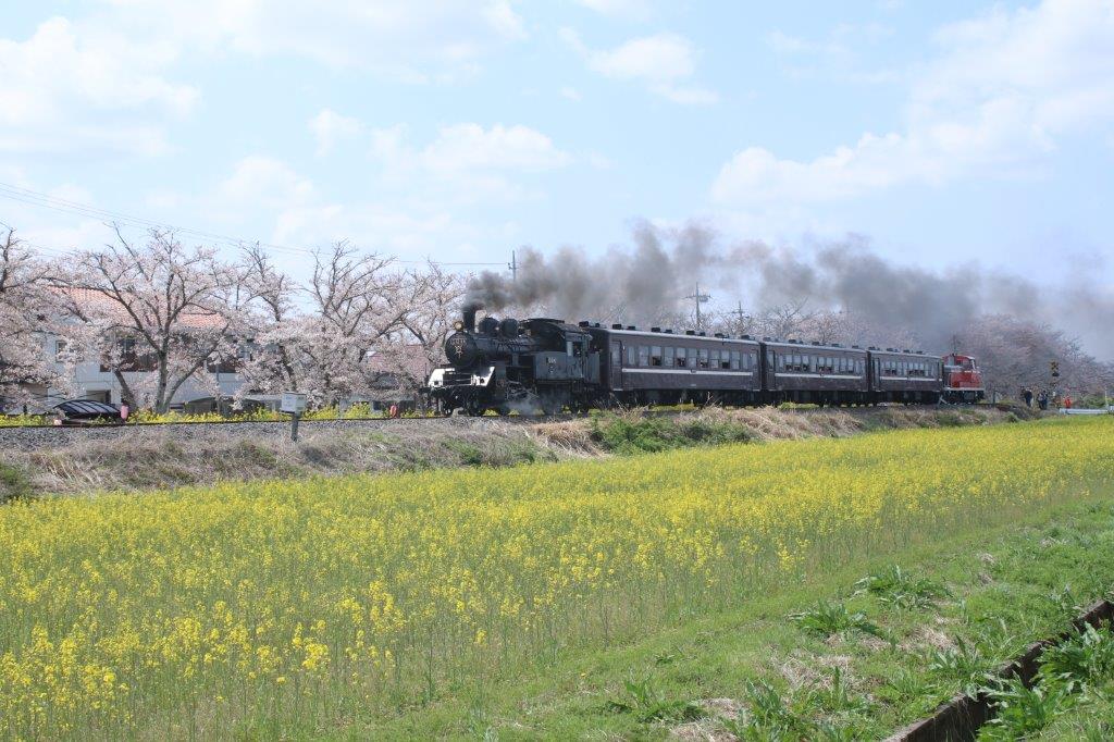 SLもおか