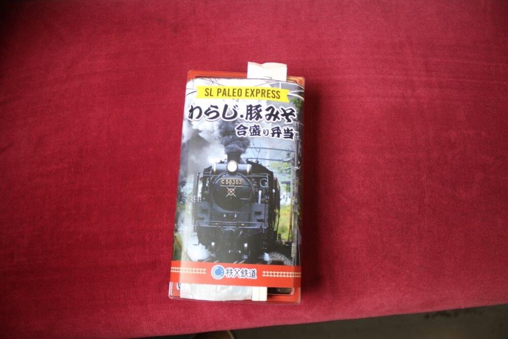 SLパレオエクスプレス