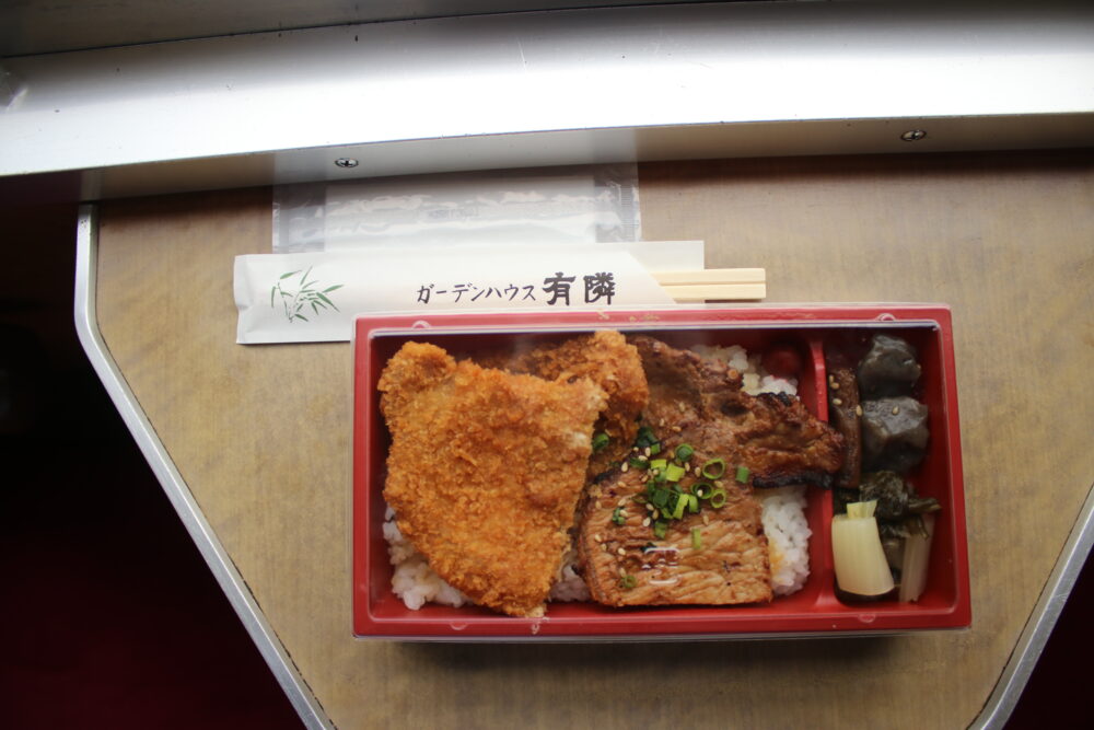 SLパレオエクスプレス