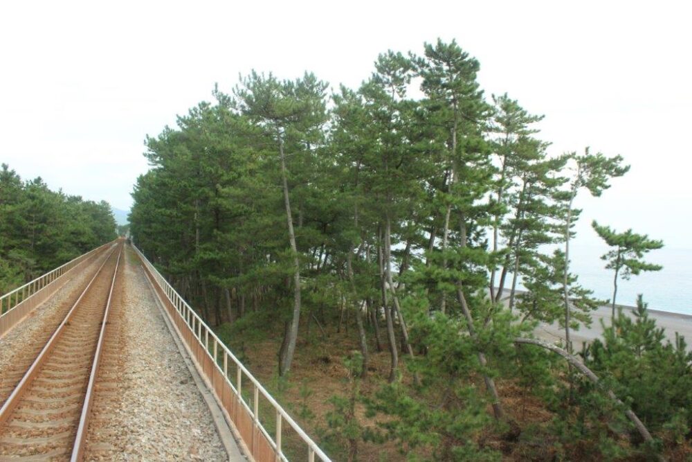 しんたろう号・やたろう号車窓からの景色