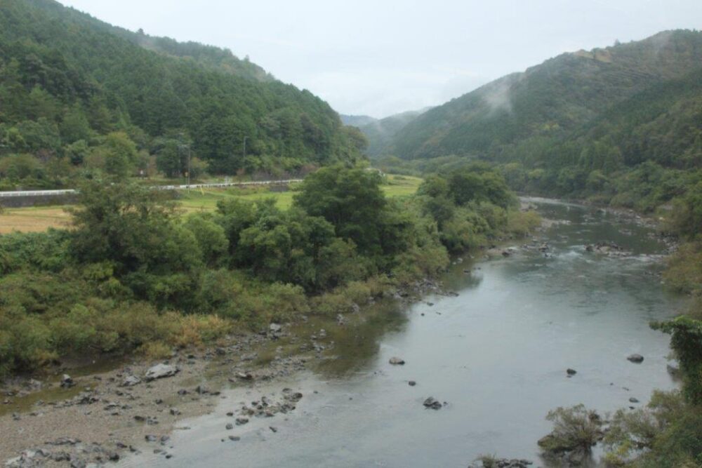 しまんトロッコ号車窓からの景色