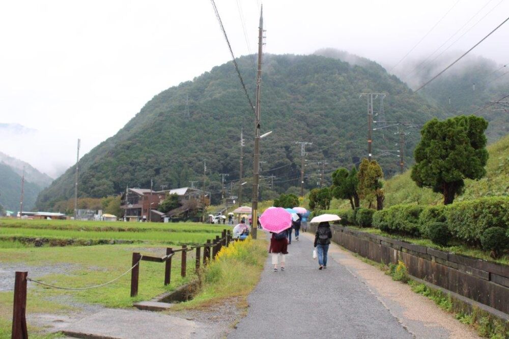 トロッコ亀岡