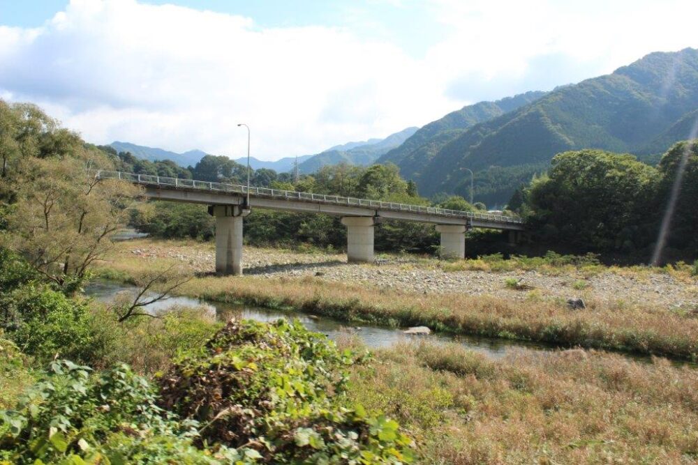 トロッコわっしー号車窓からの景色