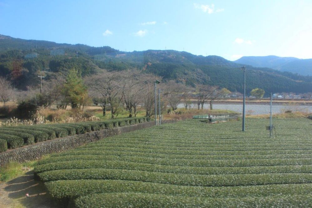 大井川本線車窓からの景色