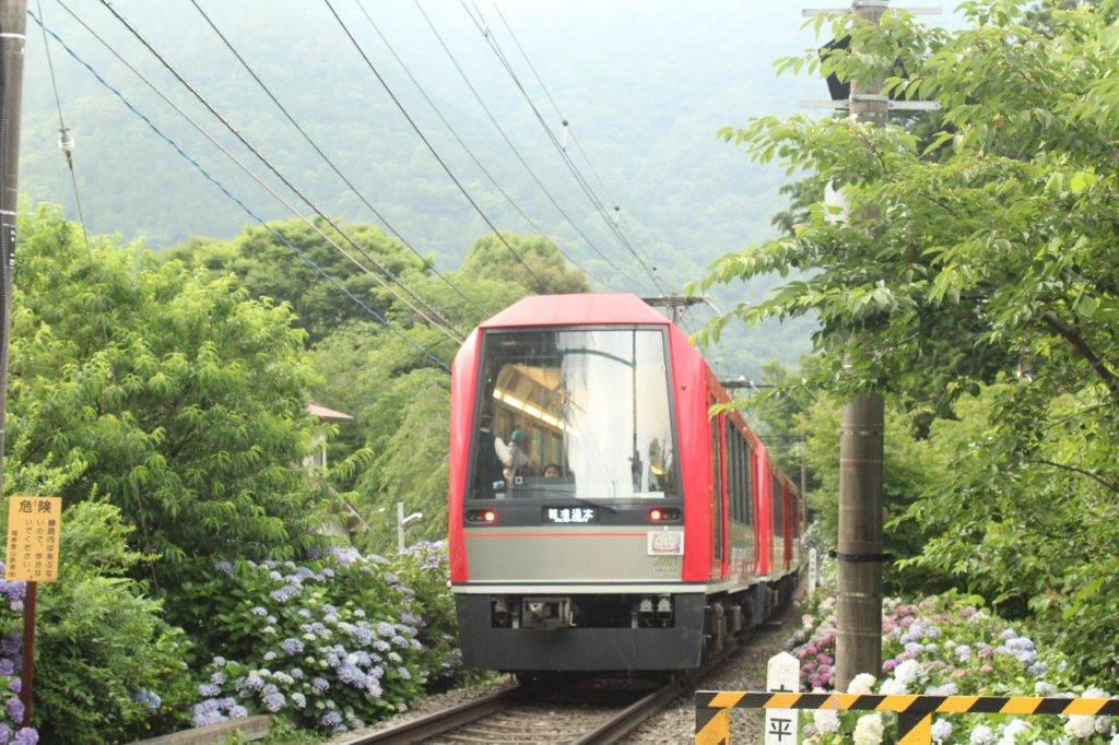 あじさい電車