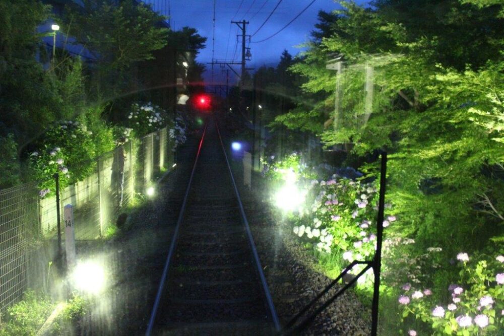 あじさい電車車窓からの景色