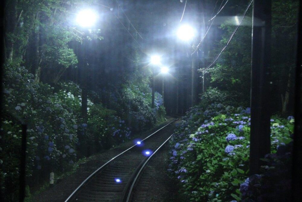 あじさい電車車窓からの景色
