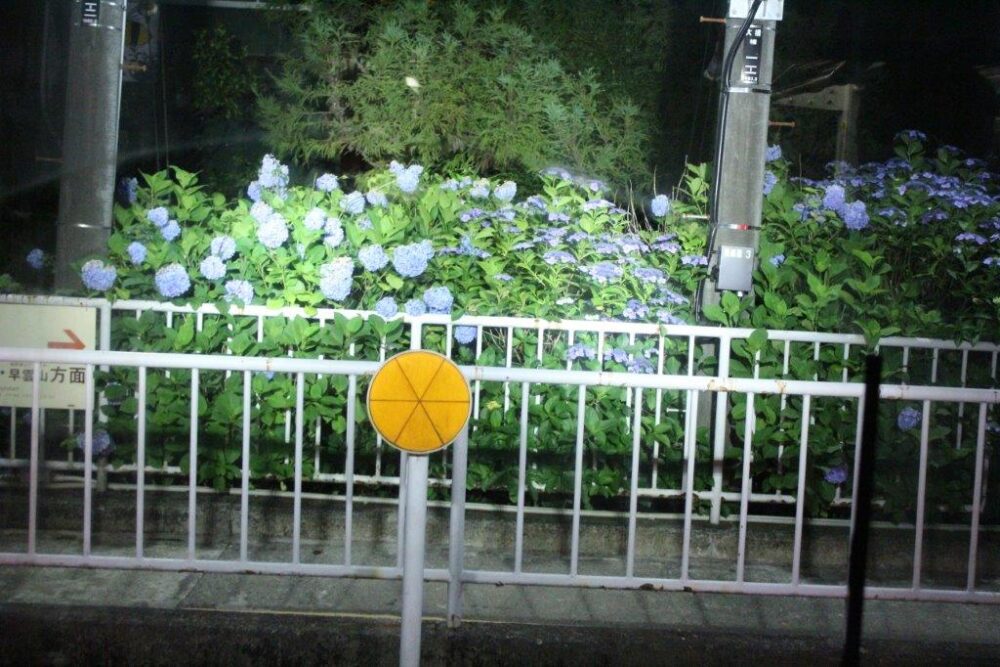 あじさい電車車窓からの景色