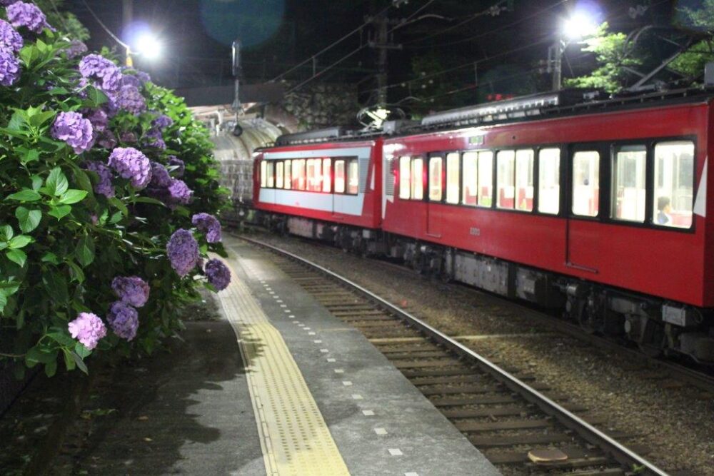 あじさい電車塔ノ沢