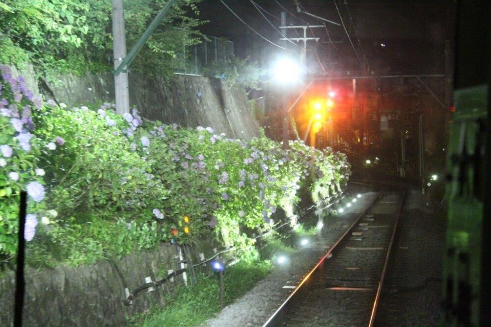 あじさい電車車窓からの景色