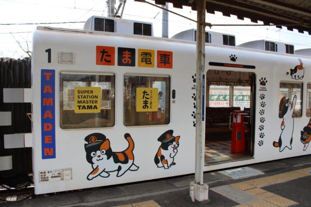 たま電車