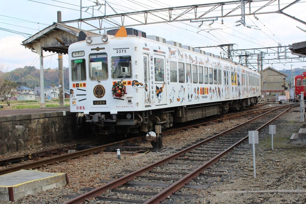 たま電車