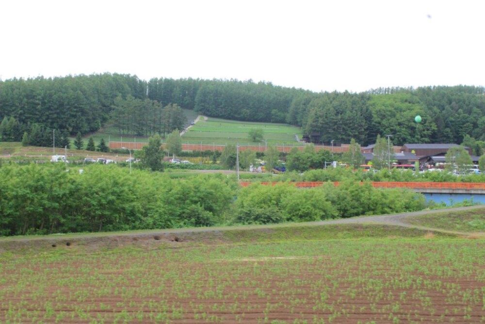 富良野・美瑛ノロッコ号車窓からの景色