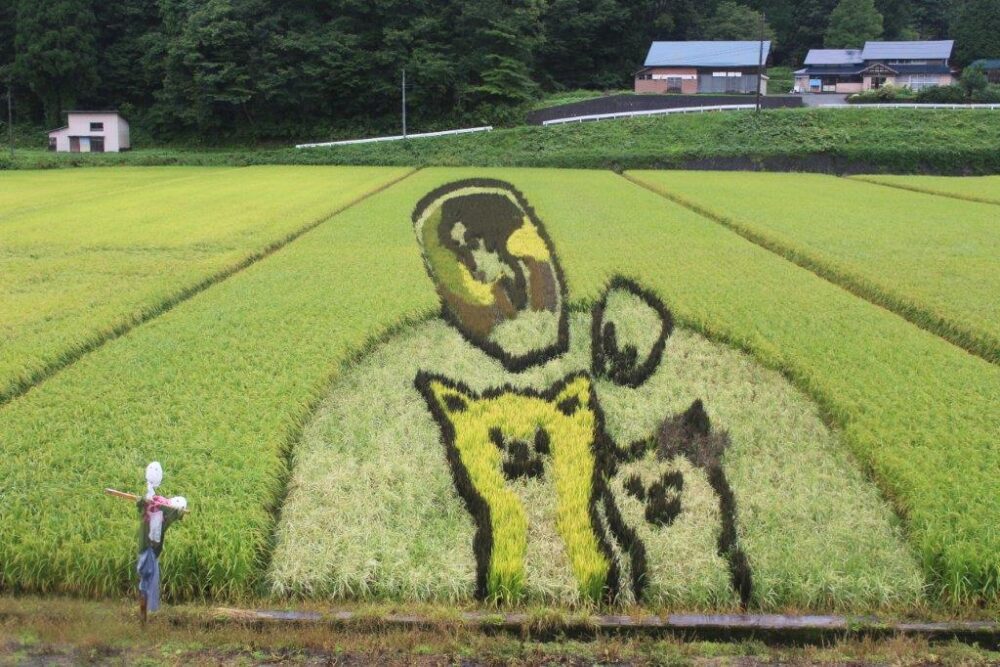 伊勢堂岱遺跡田んぼアート