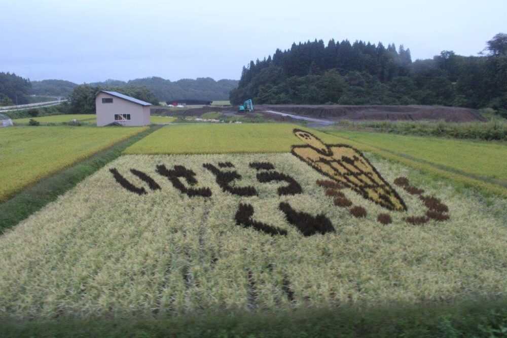 伊勢堂岱遺跡田んぼアート