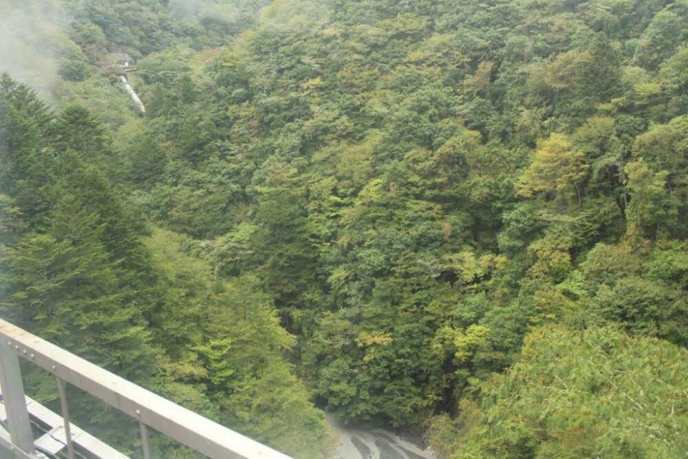 井川線車窓からの景色