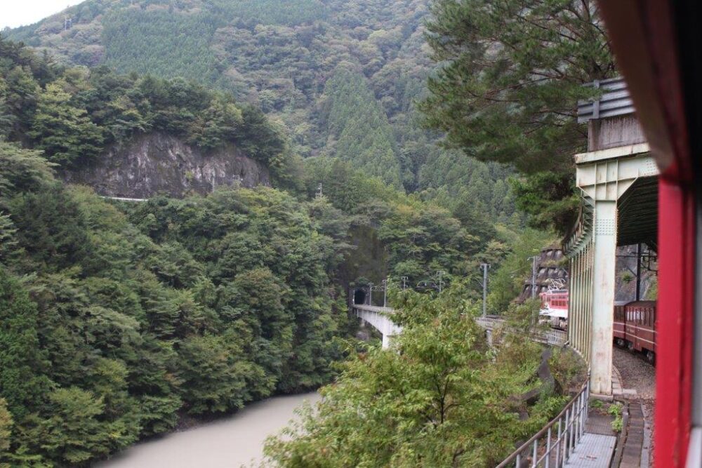 井川線車窓からの景色