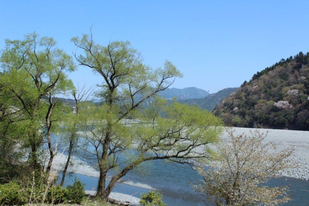 大井川本線車窓からの景色