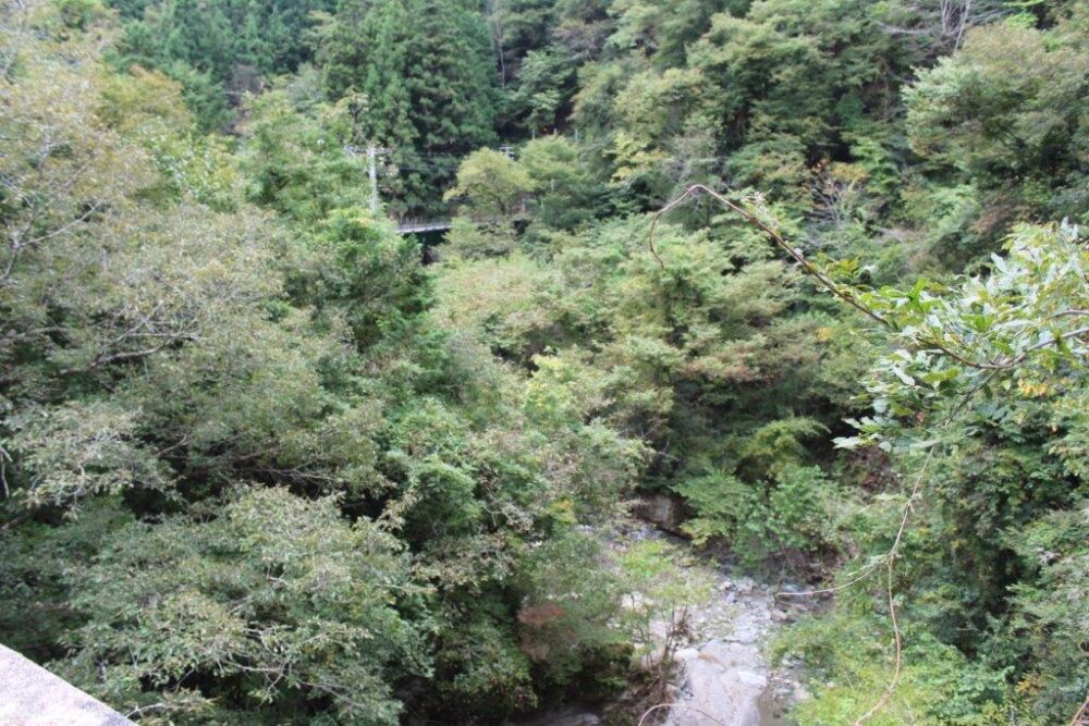 飯田線秘境駅めぐり