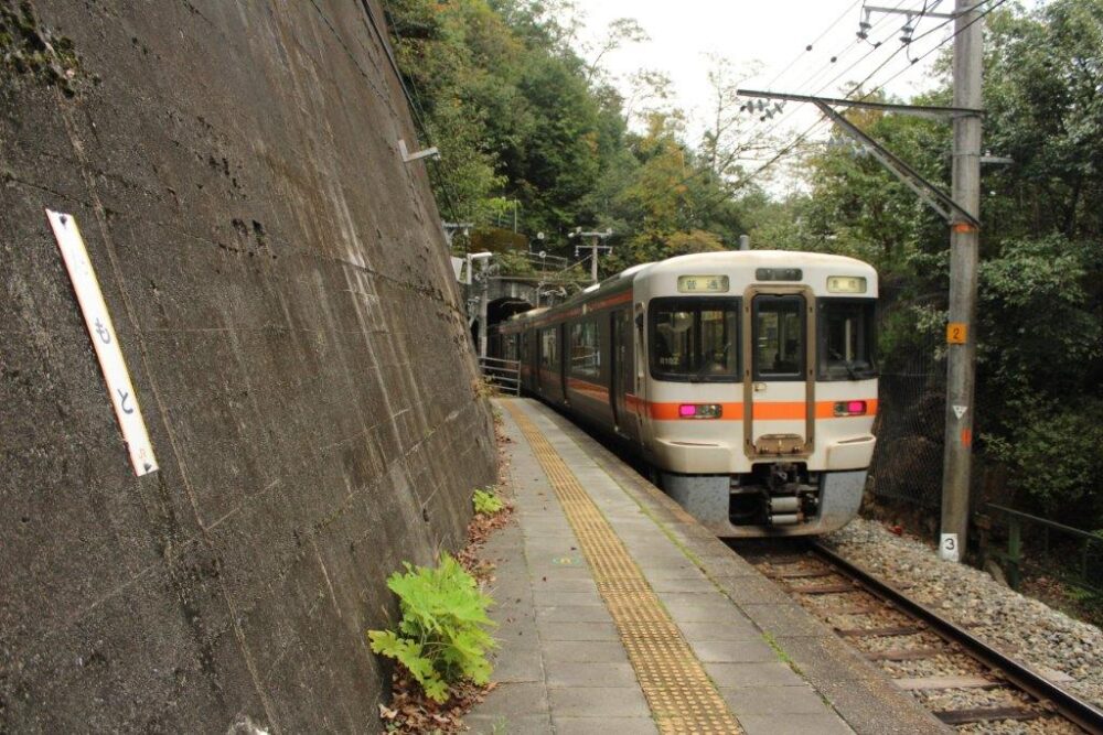 飯田線秘境駅めぐり