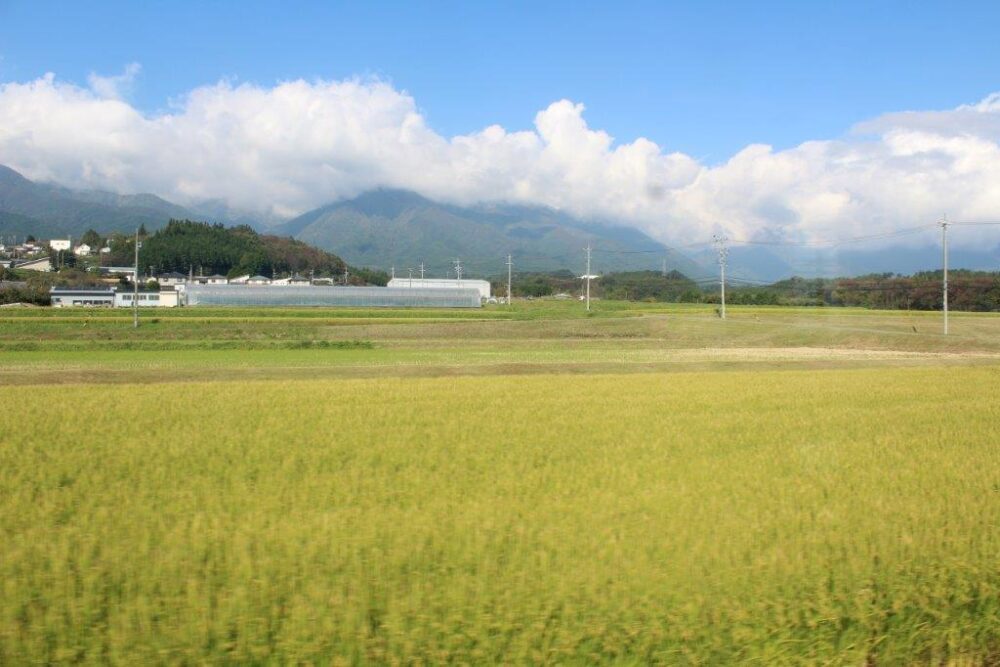 飯田線車窓からの景色