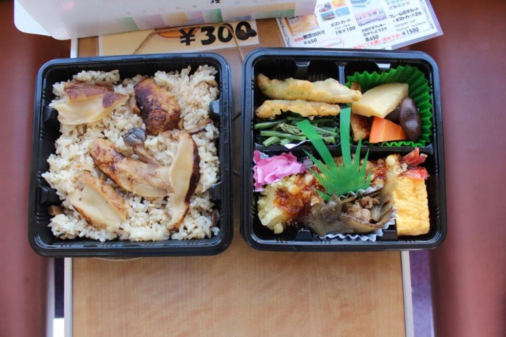 お座トロ展望列車弁当