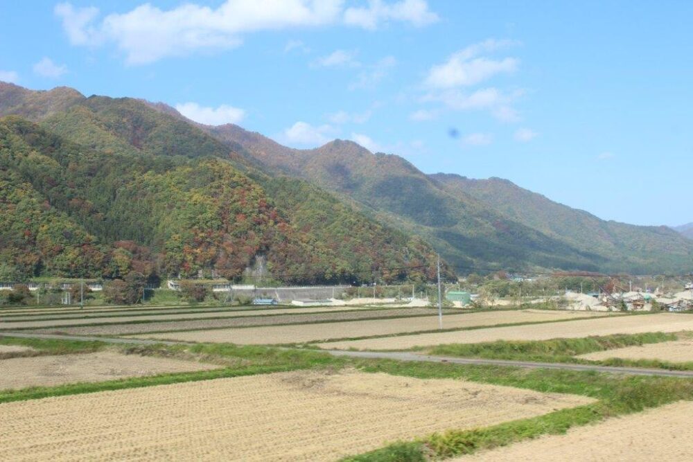 お座トロ展望列車車窓からの景色