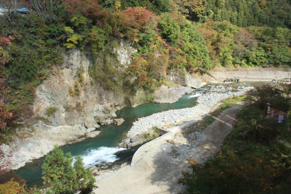 お座トロ展望列車車窓からの景色