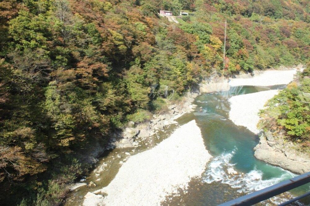 お座トロ展望列車車窓からの景色