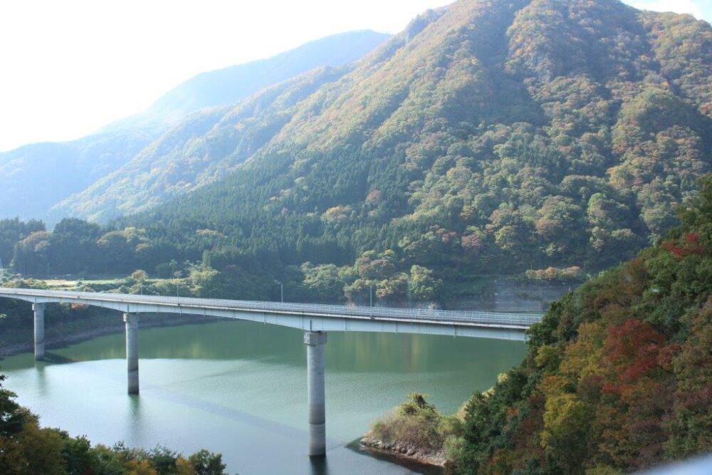 お座トロ展望列車車窓からの景色