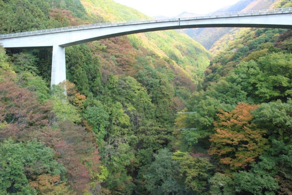 お座トロ展望列車車窓からの景色