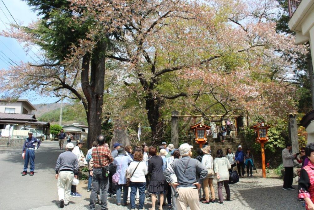 新倉山浅間公園