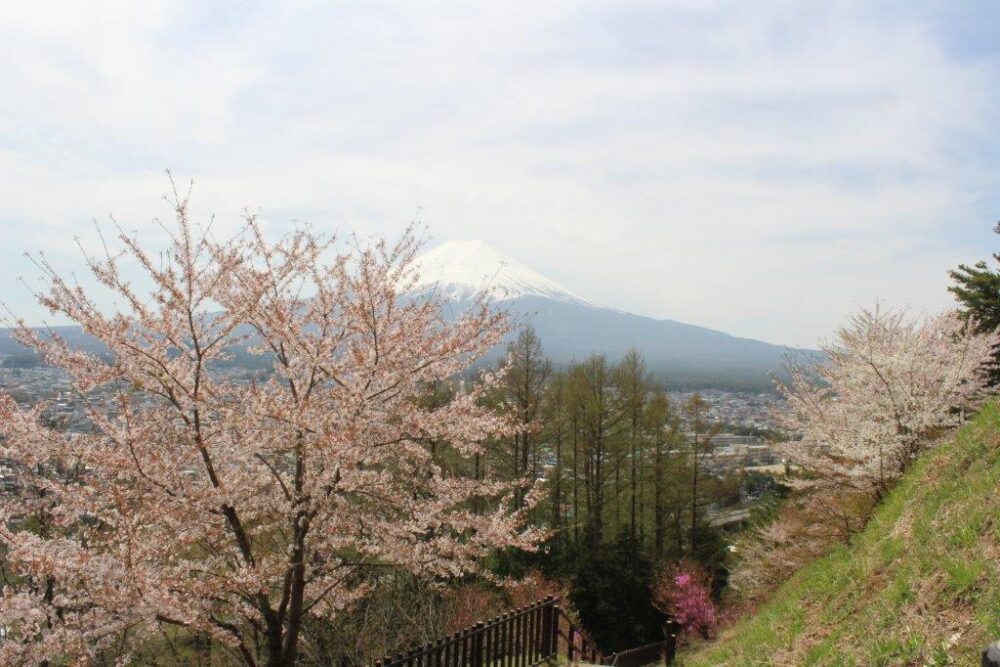 新倉山浅間公園