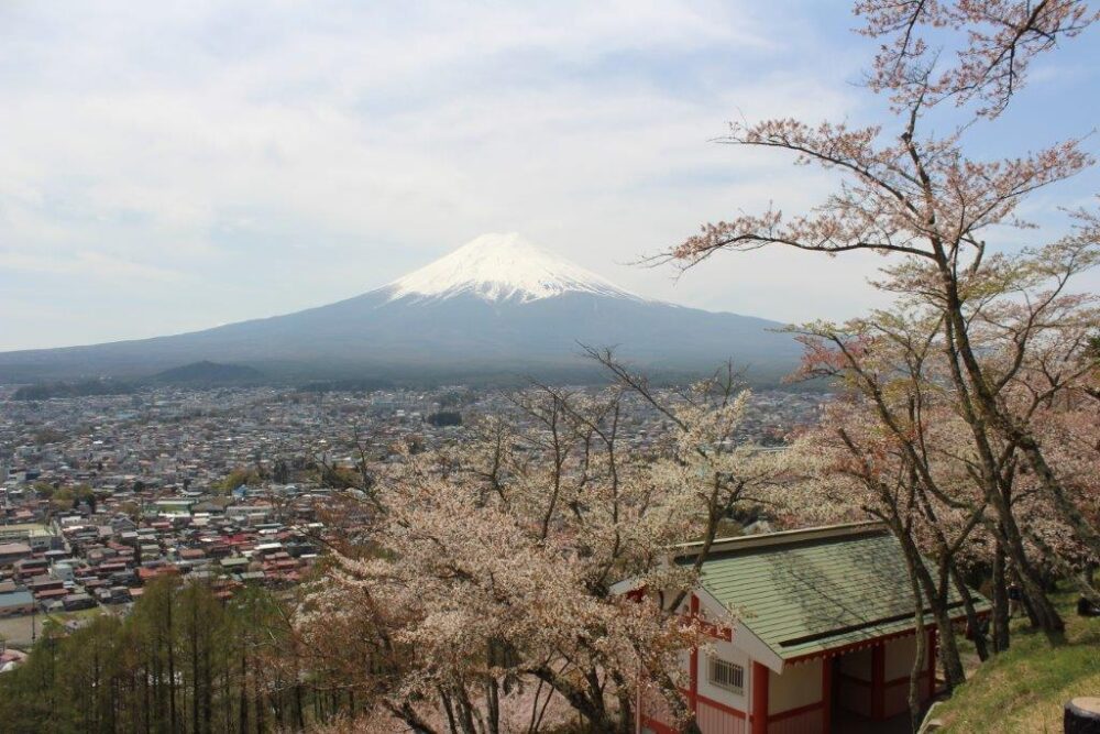 新倉山浅間公園