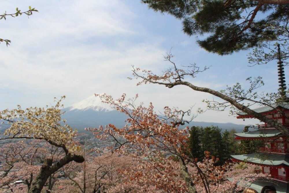 新倉山浅間公園