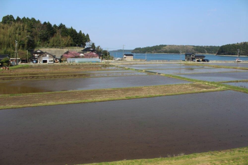 里山里海号車窓からの景色