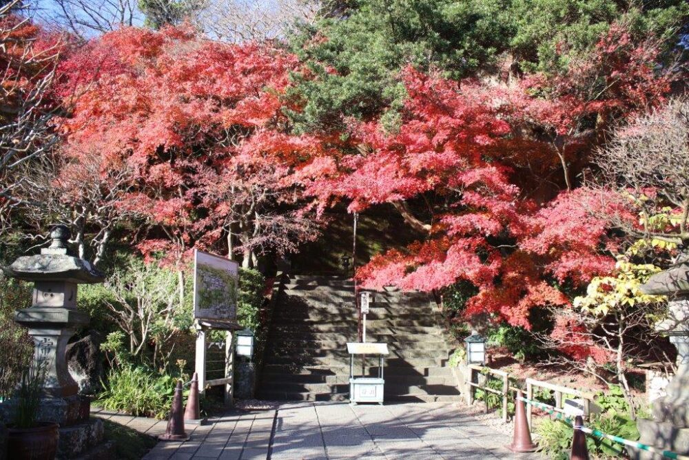 長谷寺