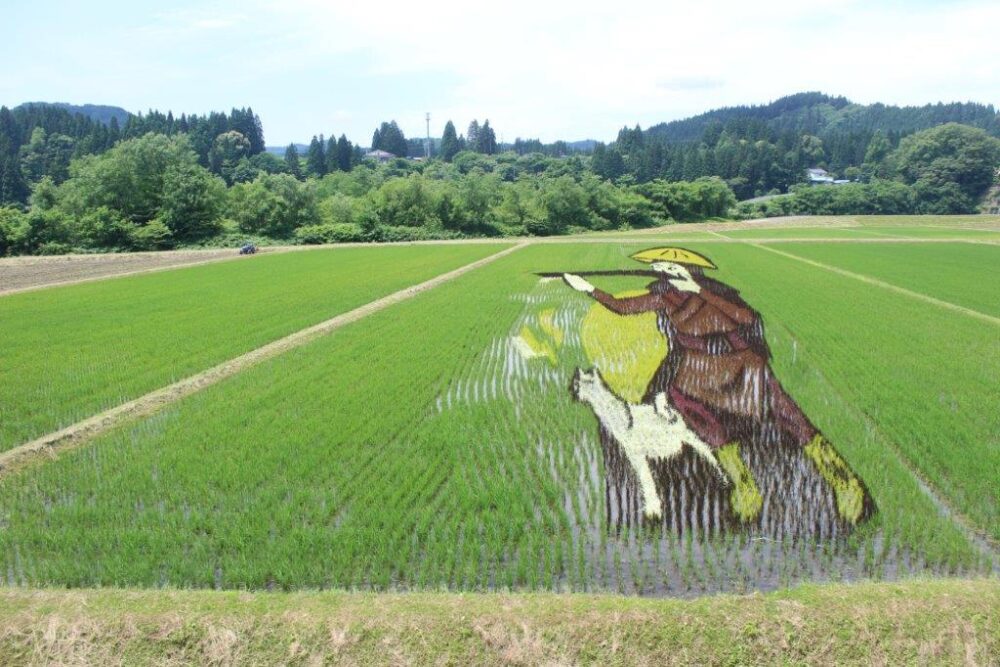 田んぼアート
