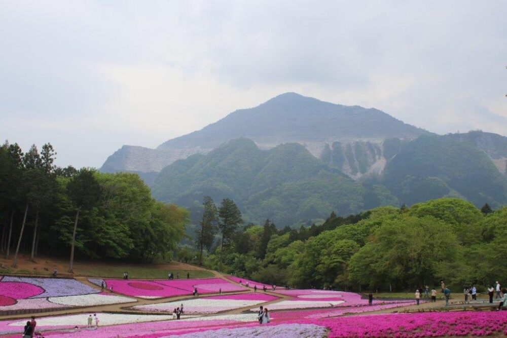 羊山公園