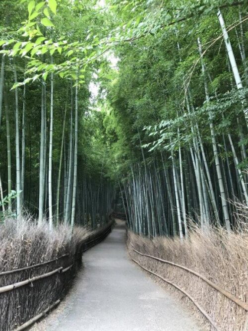 竹林の小径